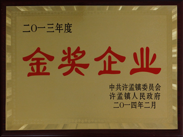 2013企業(yè)金獎